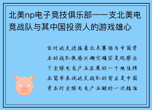 北美np电子竞技俱乐部—一支北美电竞战队与其中国投资人的游戏雄心